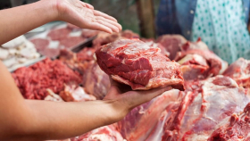 В Австралии начали продавать экологически чистую говядину